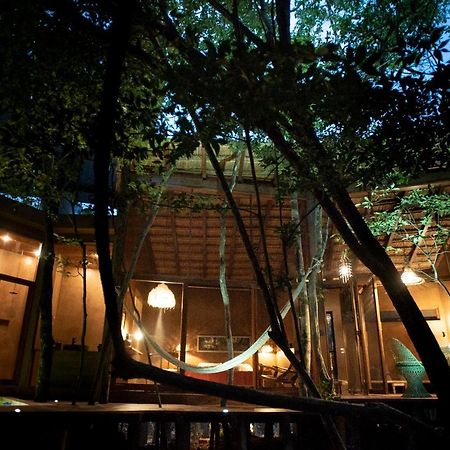 Ojo De Arbol, Boutique Cabin In The Real Jungle Tulum Eksteriør billede