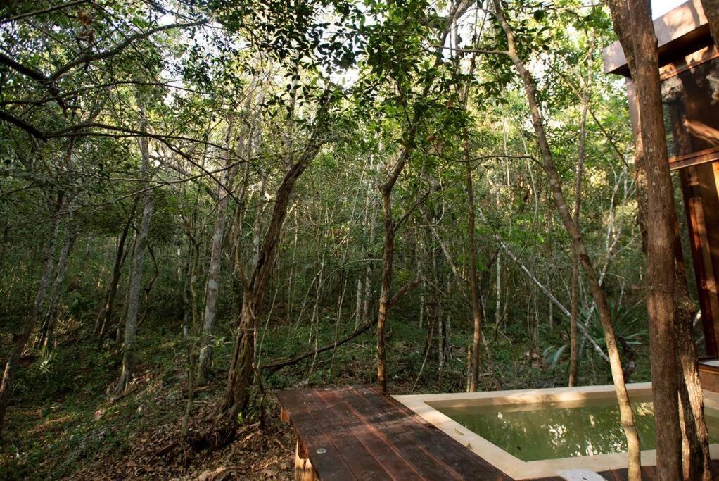 Ojo De Arbol, Boutique Cabin In The Real Jungle Tulum Eksteriør billede