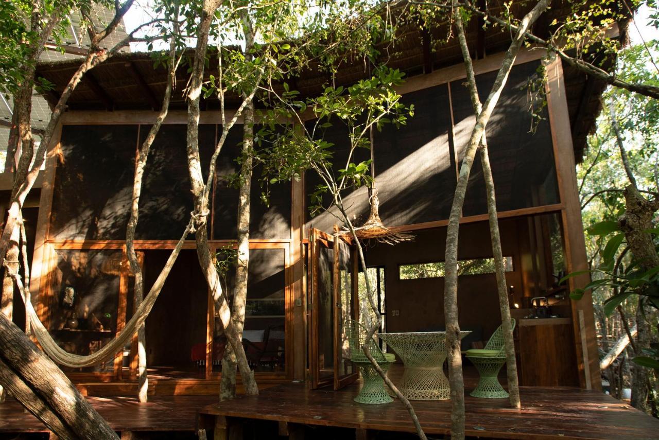 Ojo De Arbol, Boutique Cabin In The Real Jungle Tulum Eksteriør billede