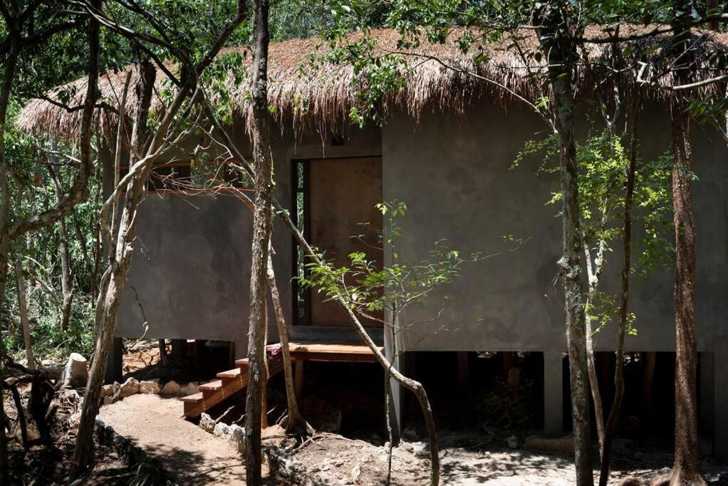 Ojo De Arbol, Boutique Cabin In The Real Jungle Tulum Eksteriør billede