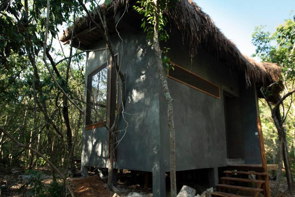 Ojo De Arbol, Boutique Cabin In The Real Jungle Tulum Eksteriør billede