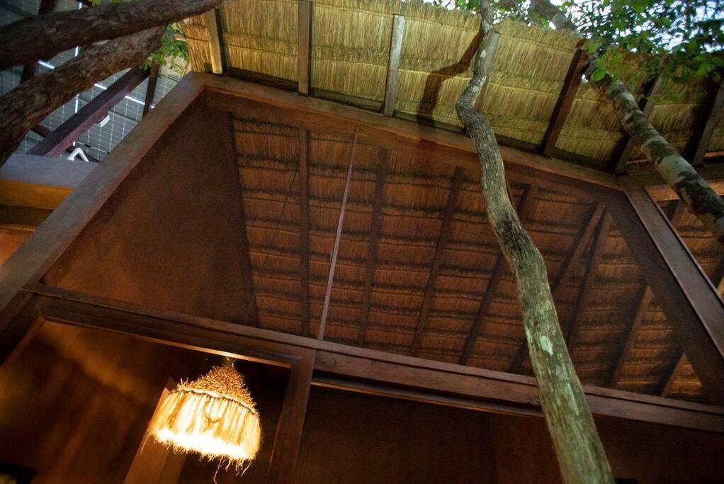 Ojo De Arbol, Boutique Cabin In The Real Jungle Tulum Eksteriør billede
