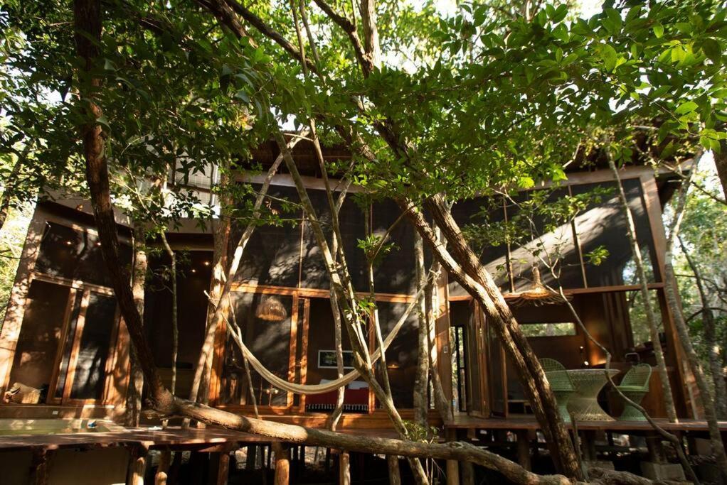 Ojo De Arbol, Boutique Cabin In The Real Jungle Tulum Eksteriør billede